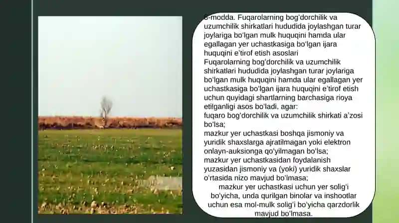 Oʻzboshimchalik bilan egallab olingan yer uchastkalariga huquqlar haqida 3