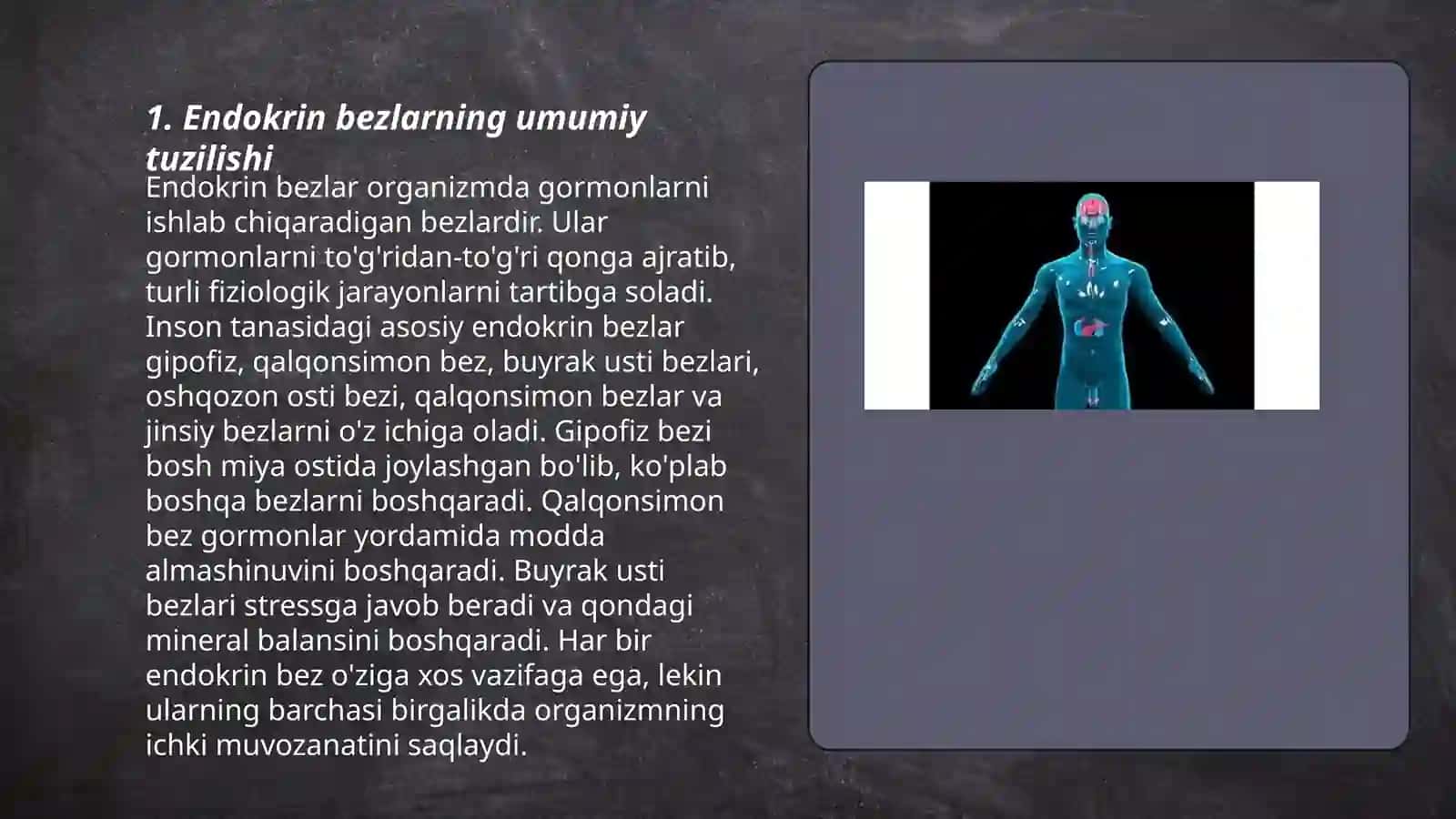 Endokrin bezlarning makro va mikro tuzilishi 3