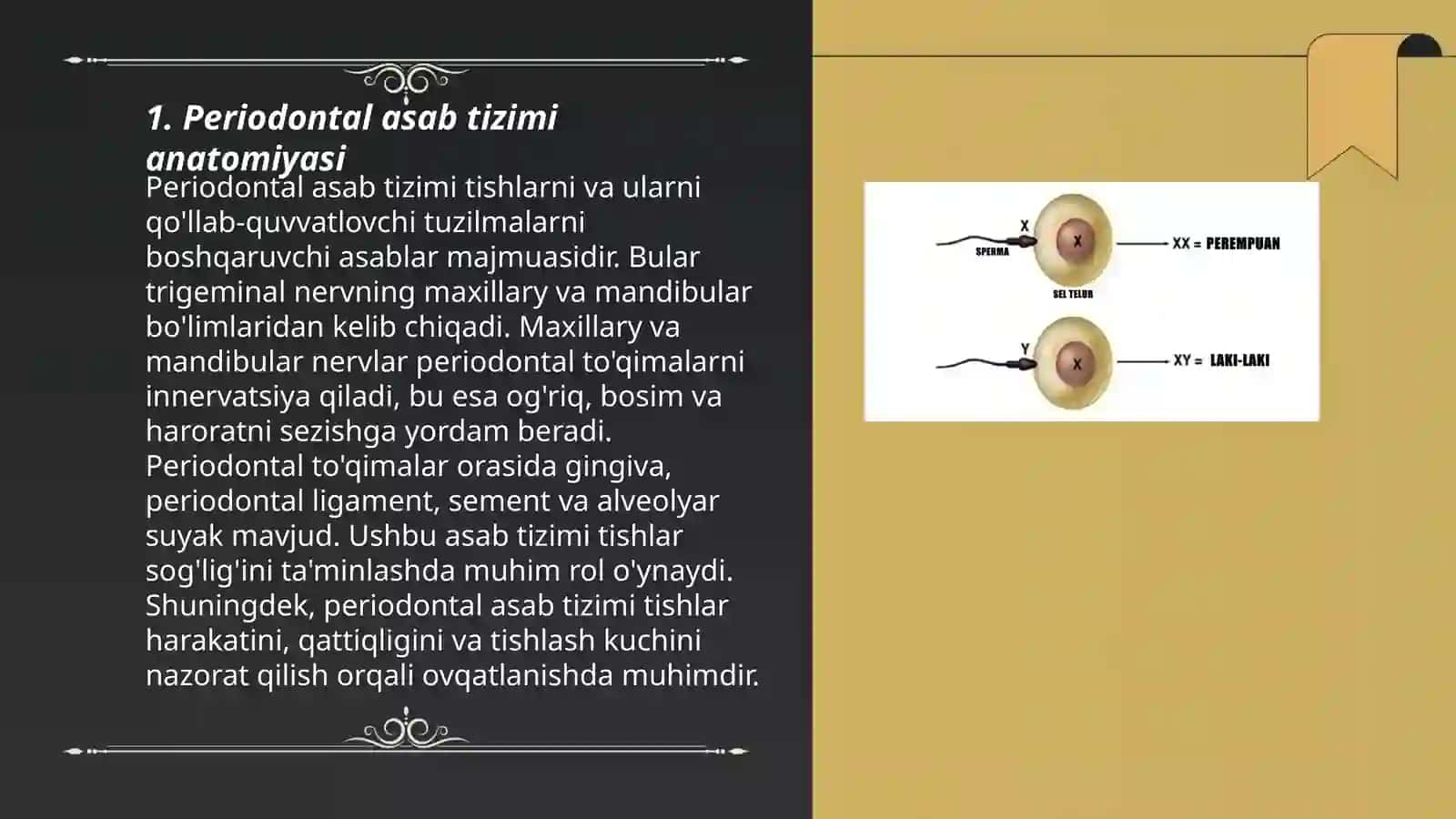 Paradantalogiyada asab tizimi kasalliklari 3
