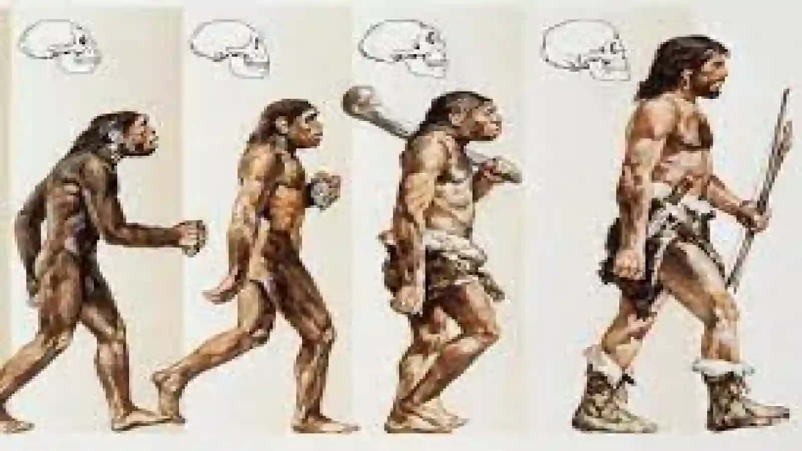 ANTRAPOGANIYIZ JARAYONNiNg Ilk Bosqichi 3