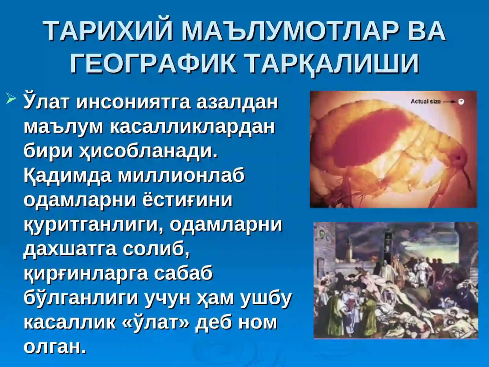 ЎЛАТпрезентация врачлар учун 3