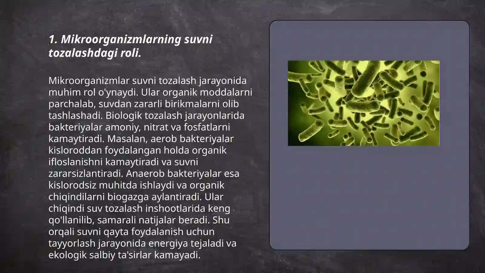 Mikroorganizmlar Yordamida Oqava Suvlarni Tozalash 3