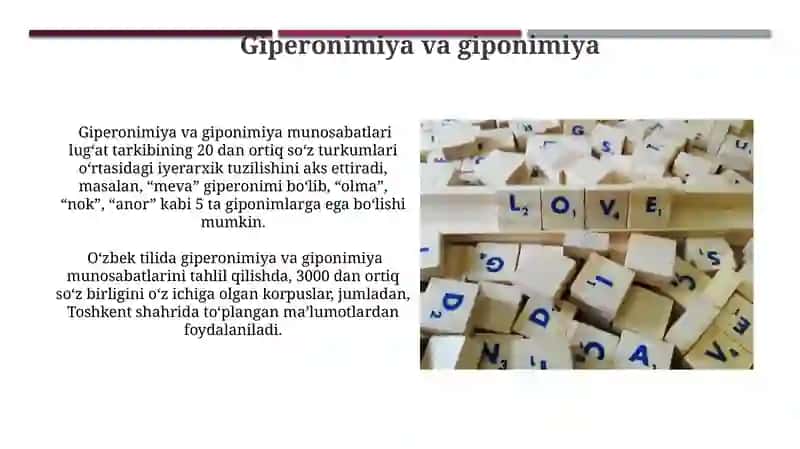 Lug'at tarkibining shakl va ma'no munosabatlari jihatidan tavsiflanishi 3
