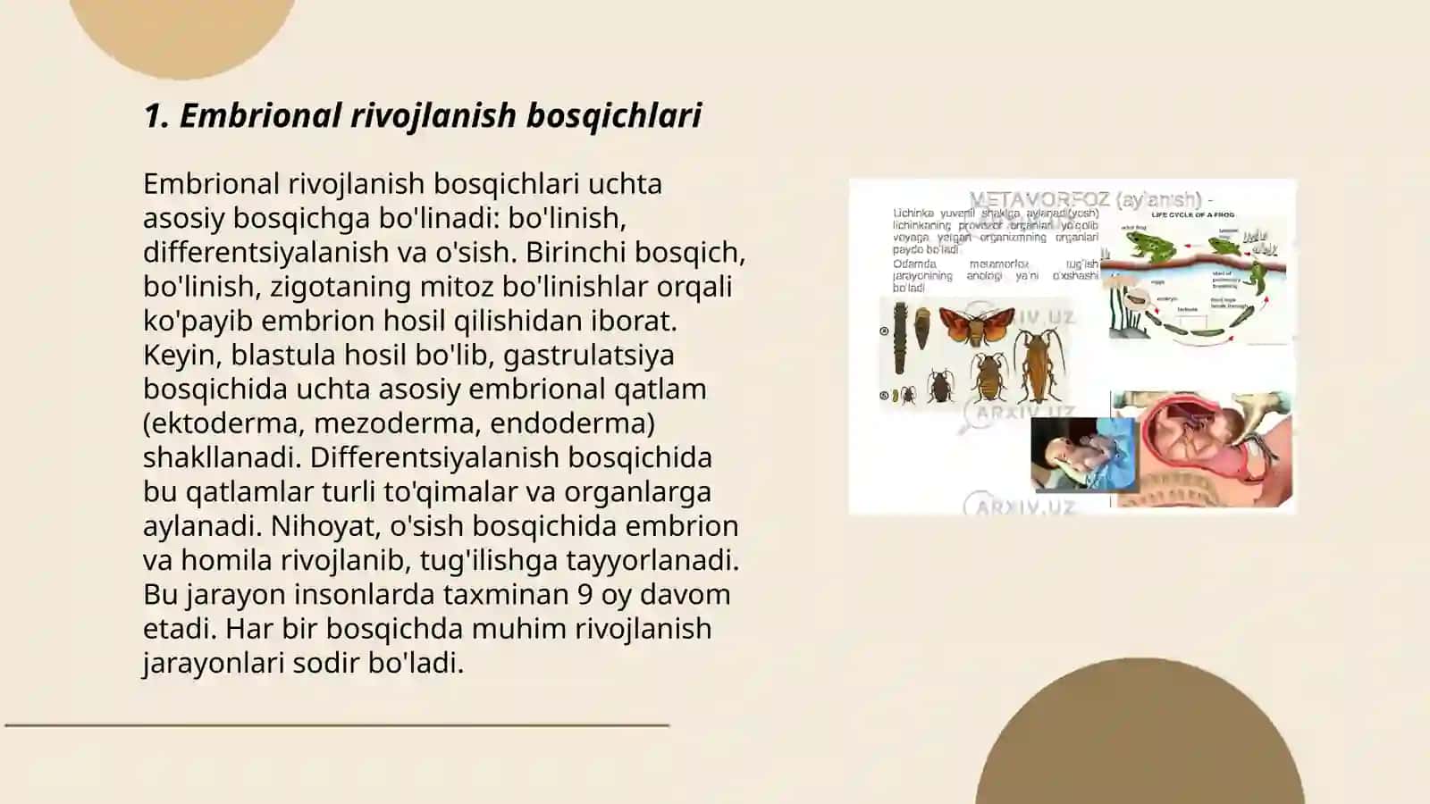 Embrional rivojlanishning umumiy qonuniyatlari 3
