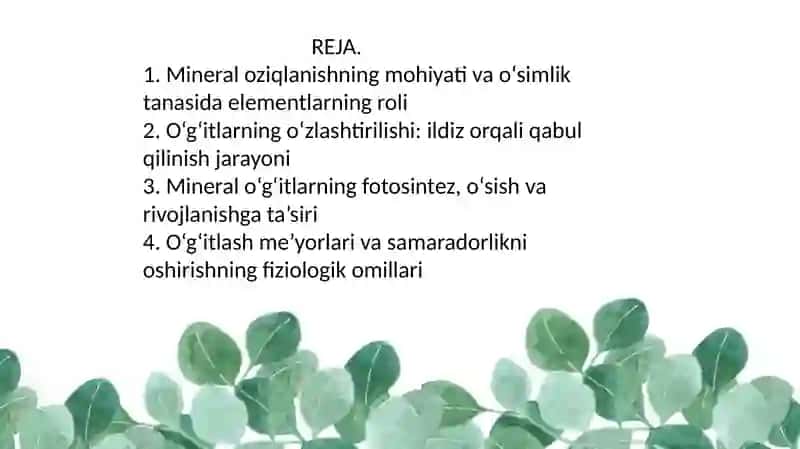 O'Simliklardan Mineral O'g'itlardan Foydalanishning Fizologikasoslari 3