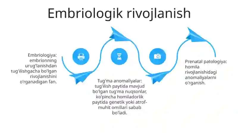 Prenatal Patalogiya 3