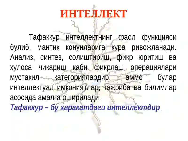Интеллект патологияси ва синдромлари. Олигофрения 3