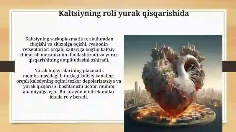 Yurak faoliyatini boshqarilishini òziga xosligi 3