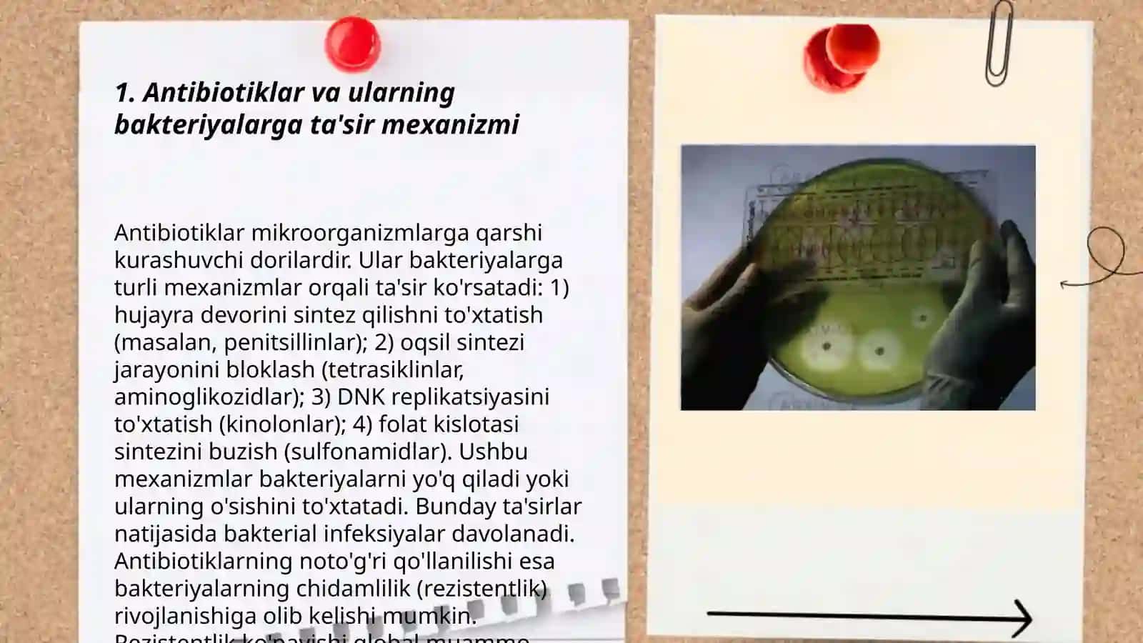 Kimyoterapevtik preparatlar va antibiotiklarga bakteriyalarning chidamli shtammlarining shakllanish mexanizmlari 3