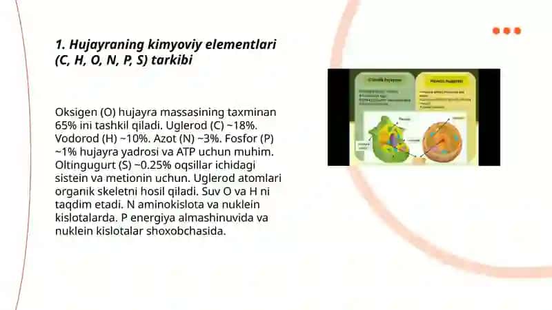 Hujayraning biokimyoviy tashkil topishi:asosiy elementlar va biomalekulalar 3