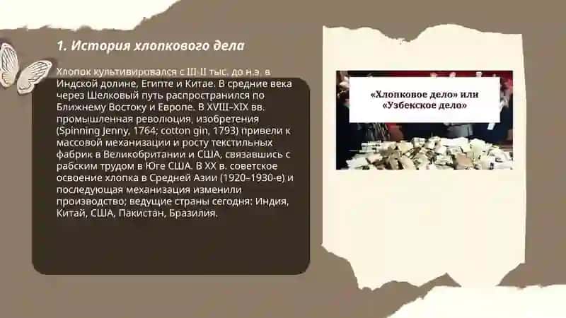 Хлопковое дело 3