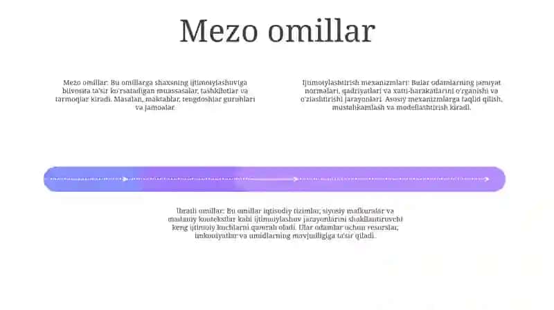 Ijtimoiylashtirishning Omillari (Makro, Mezo Va Mikro Omillar) Va Mexanizmlari 3