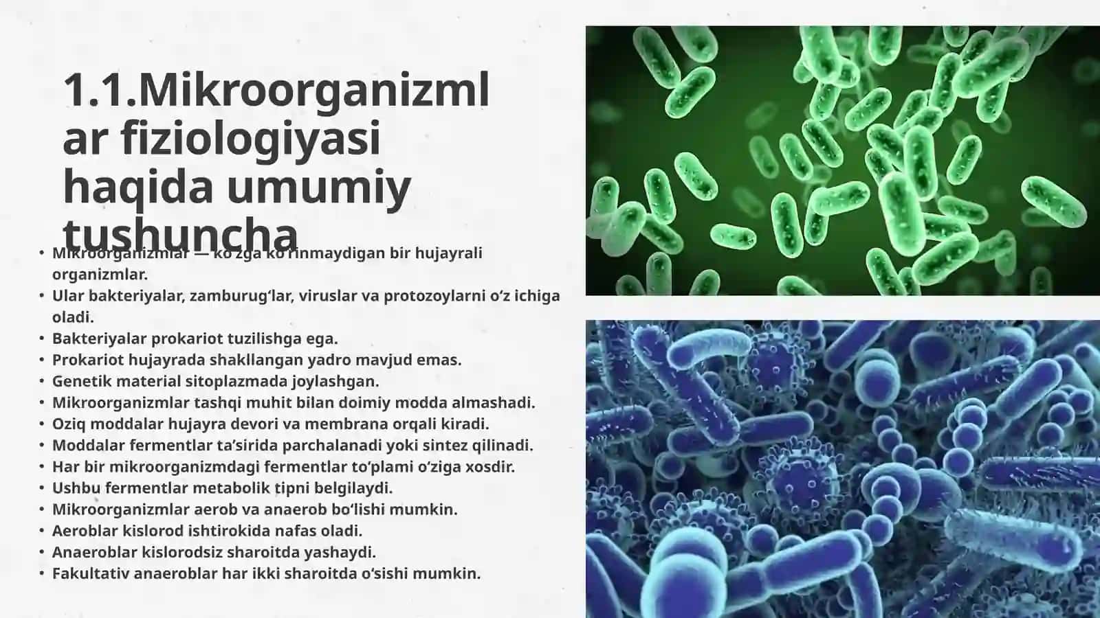 MIKROORGANIZMLAR FIZIOLOGIYASI, MIKROORGANIZMLARNI O‘STIRISH VA SOF KULTURA AJRATIB OLISH USULLARI 3