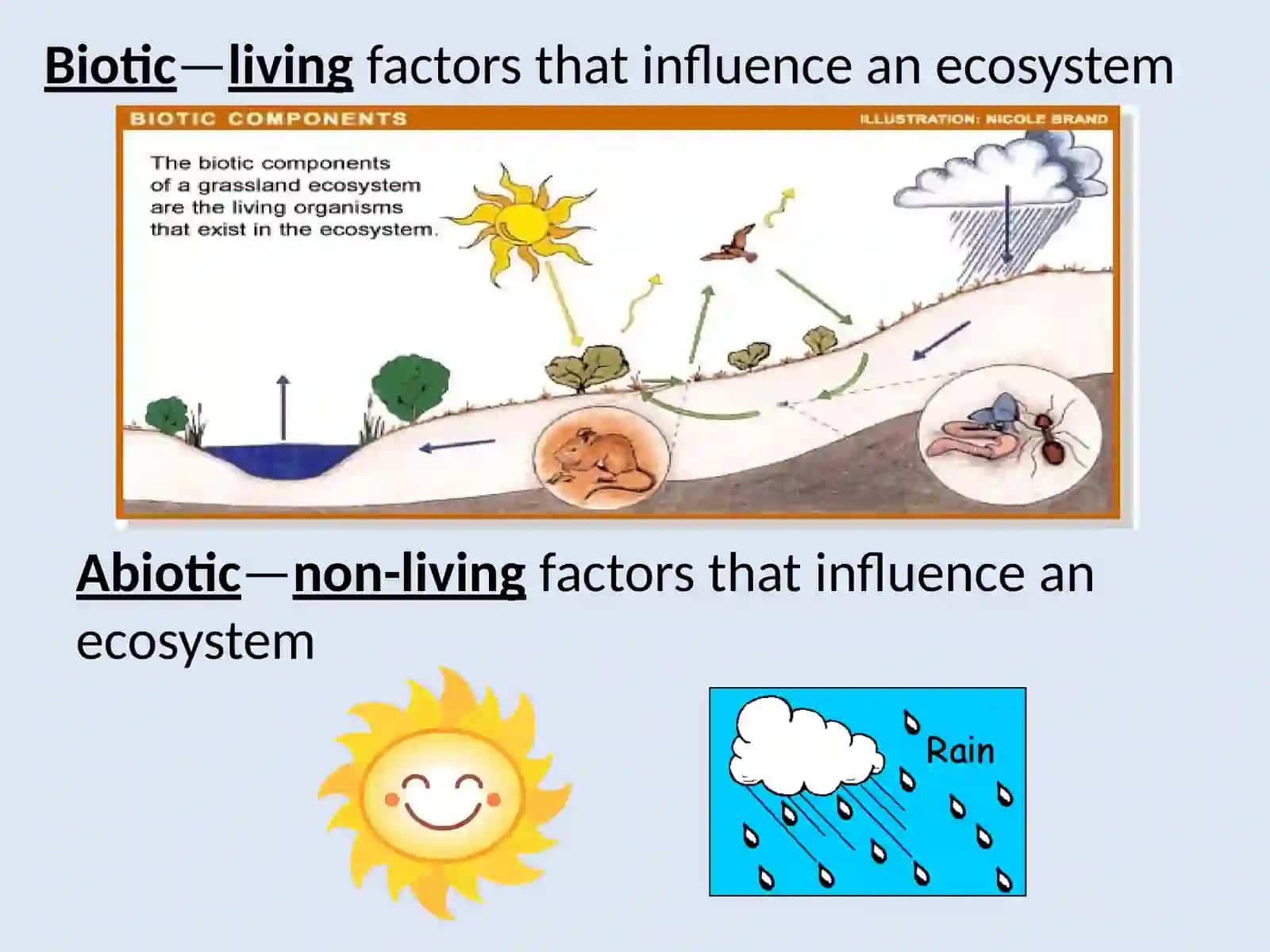 Ekologiya asoslari (Ecology Fundamentals) 3