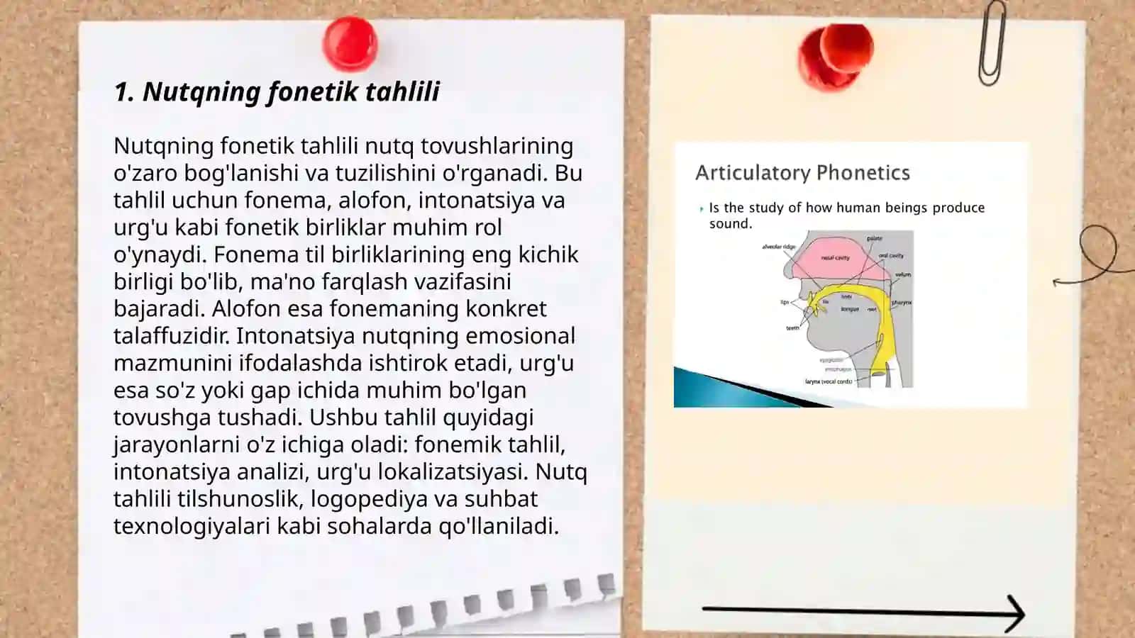 Nutqning fonetik jihatdan bo'linishi 3