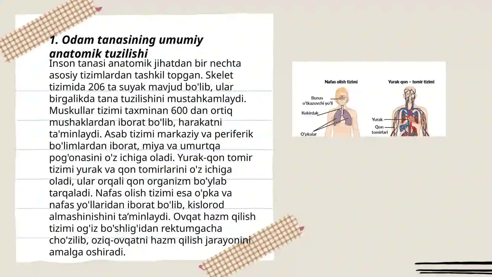 Odam va uning organlari tizimi tuzilishi va vazifalari 3