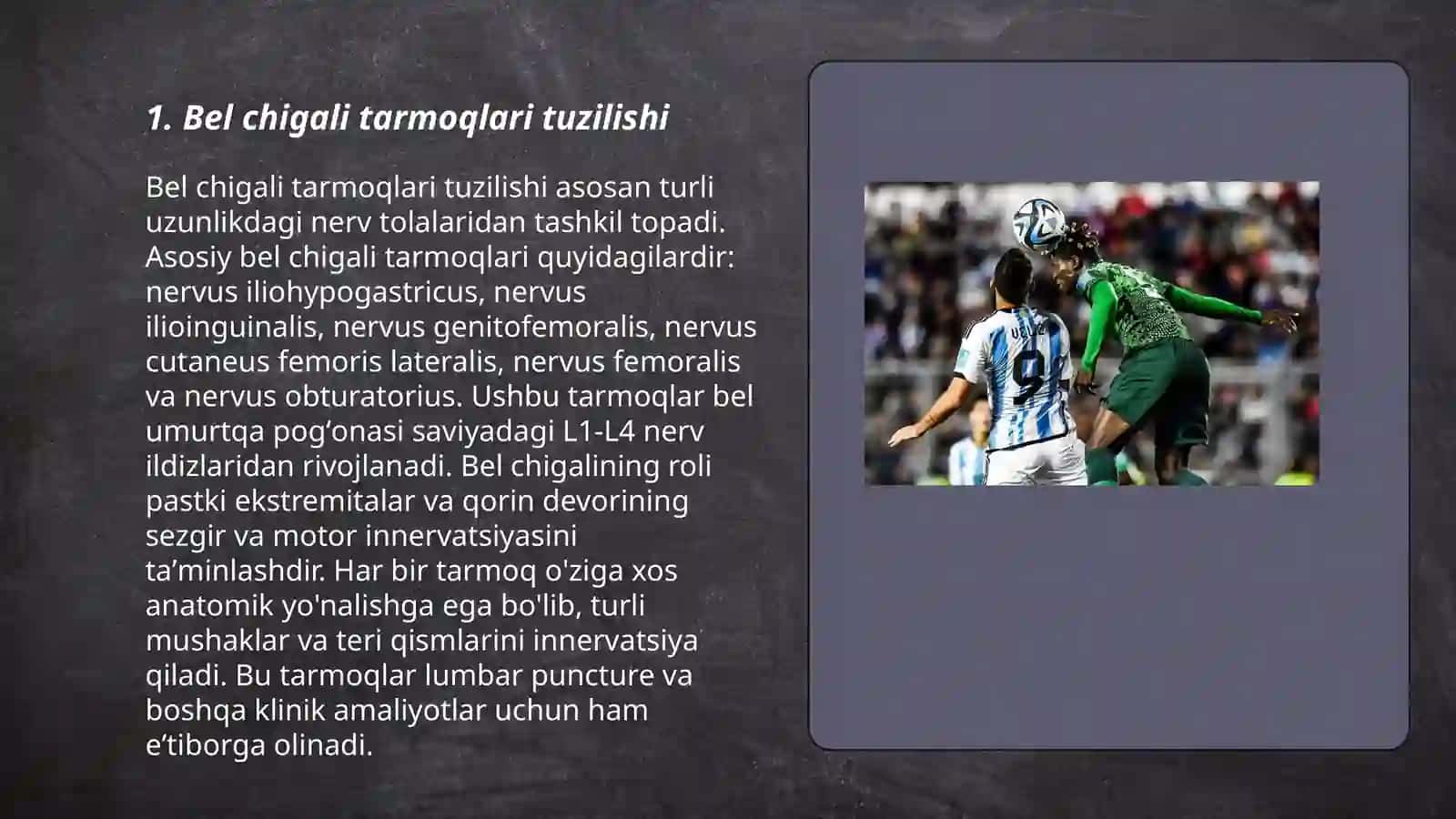 Bel va dumgʻaza chigali tarmoqlari mavzusidan slayd 3