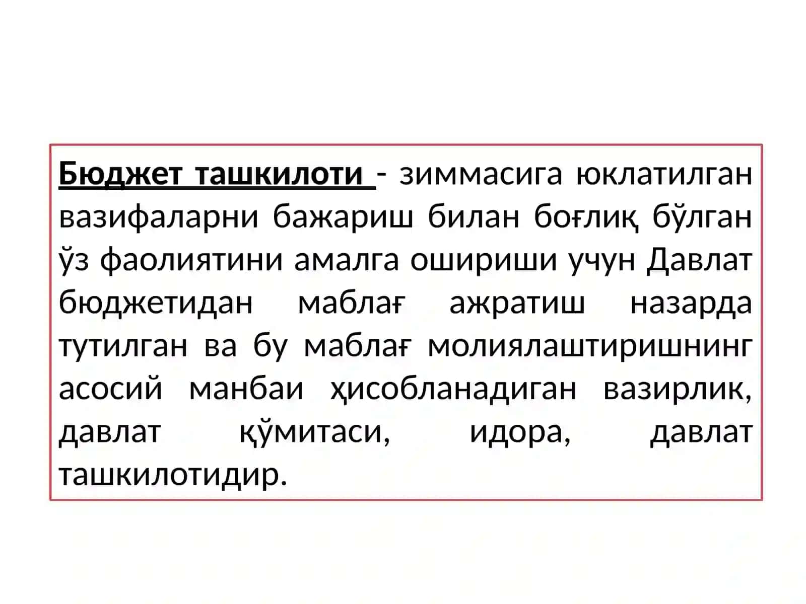 Byudjet tashkilotlarida Byudjet hisobining tashkiliy – uslubiy jihatlari 3