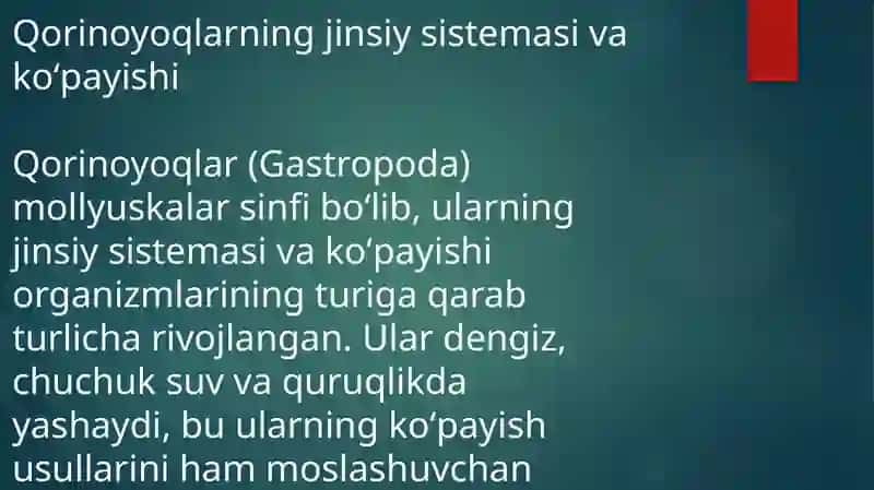 Qorinoyoqlar Jinsiy Sistemasining Kelayotgan Mavzusi 3