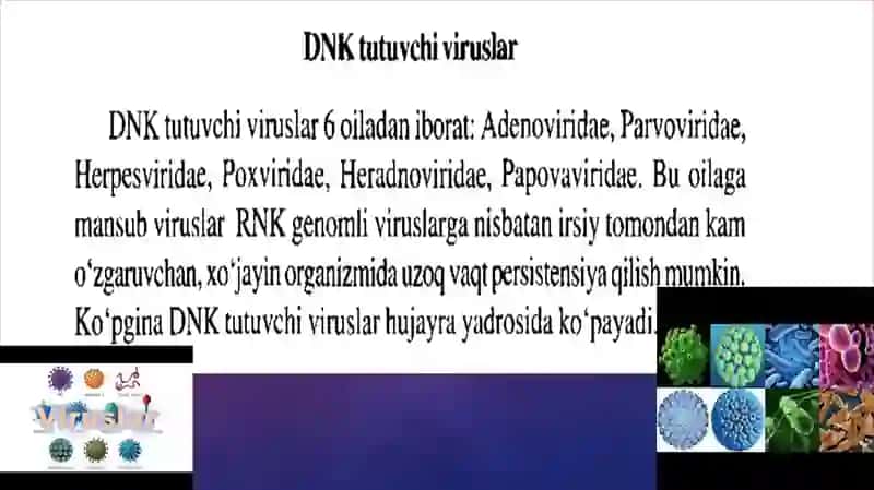 DNK SAQLOVCHI VIRUSLAR KELTIRIB CHIQARUVCHI YUQUMLIM KASALLIK qo’zg’atuvchilari: gepatit viruslari B, C, D, E, G, TTV HARAKTERISTIKA VA LABARATOR TASHXISI 3
