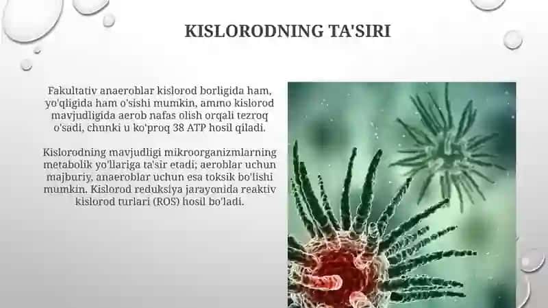 Mikroorganizmlarga tashqi muhit omillarining taʼsiri 3