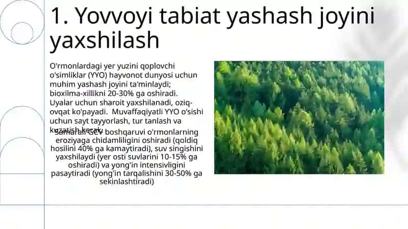 Tuproqni qoplagan tirik o't-o'lamlarning o'rmonchilikdagi ahamiyati 3