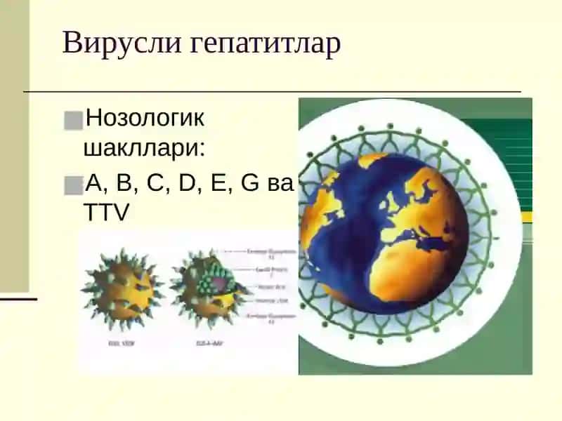 Вирусли гепатитлар 3