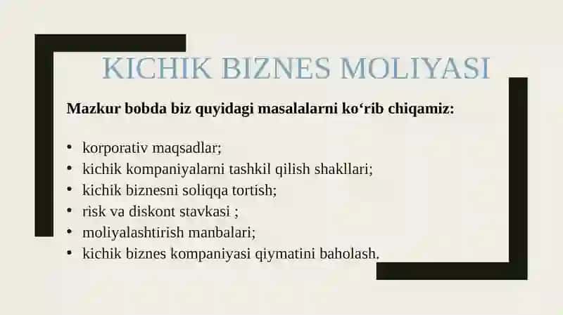 KICHIK BIZNES MOLIYASI 3