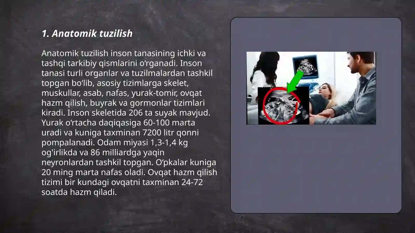 Anatomik tuzilish 3