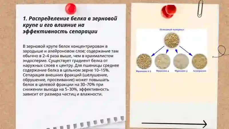 Сепарация зерновых фракций для повышения содержания белка в муке 3