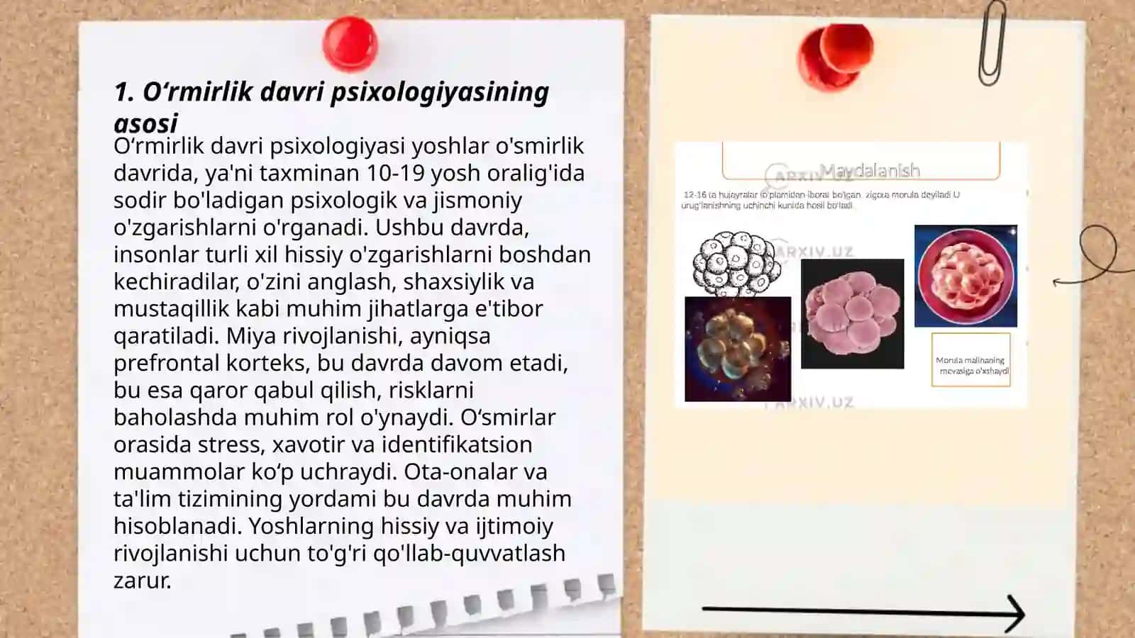 Oʻrmirlik davridagi psixik rivojlanishning umumiy tavsifi 3