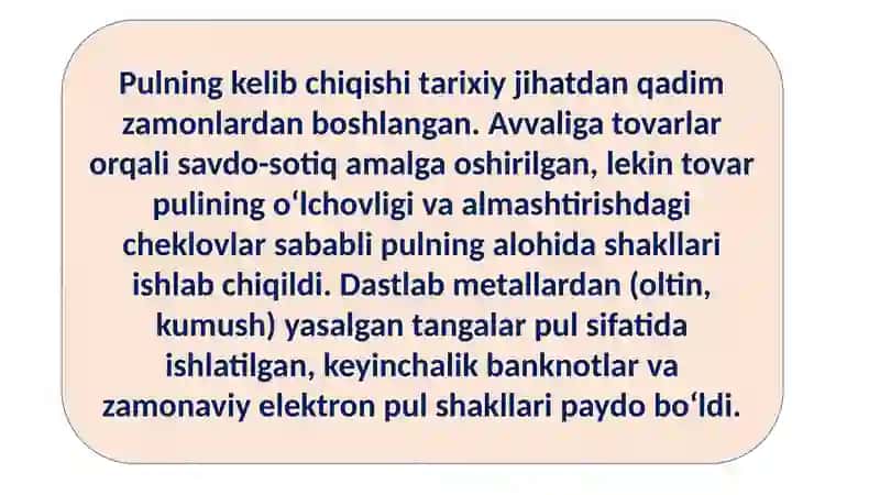 Pulning Kelib Chiqishi, Mohiyati va Vazifalari 3