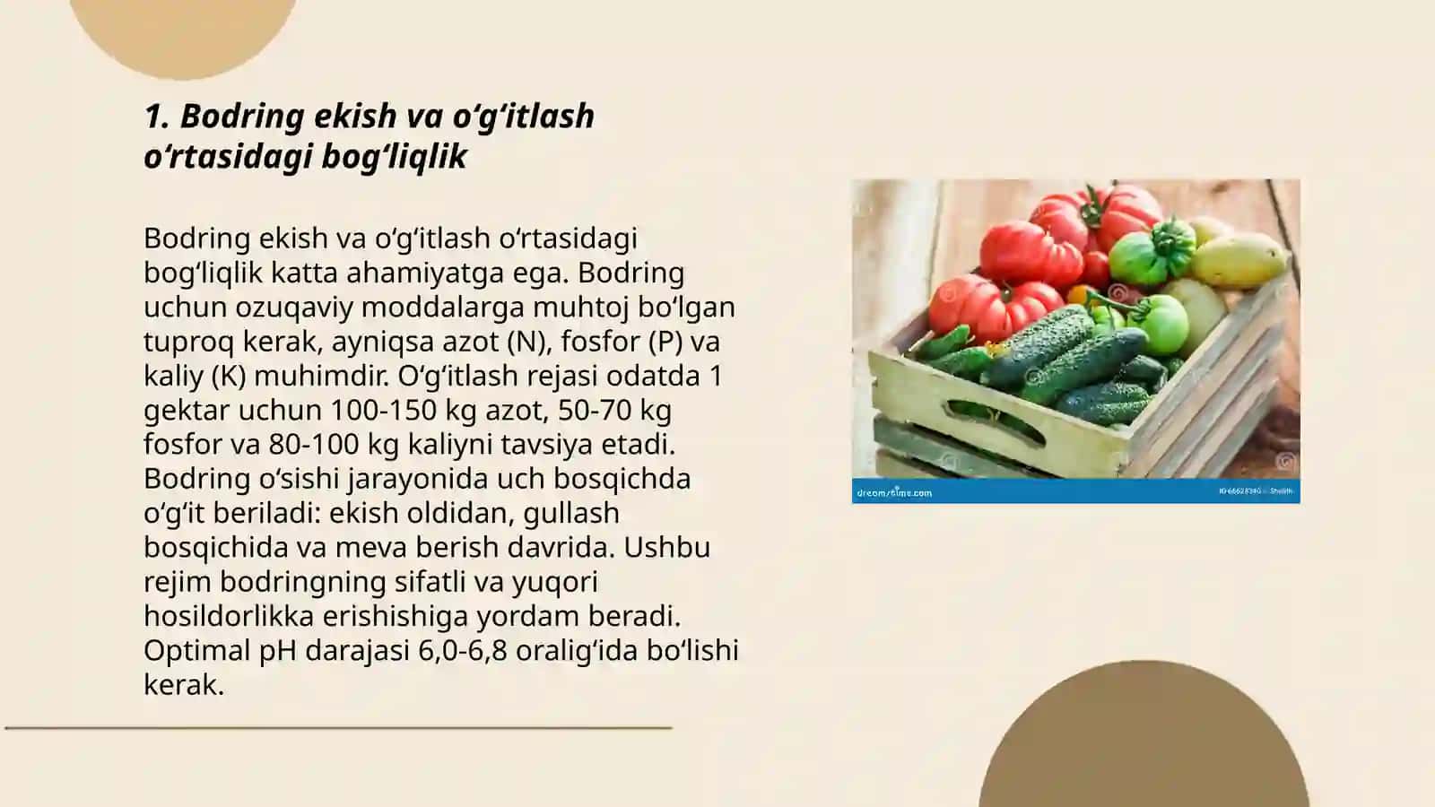 Bodring va pomidorni o‘g‘itlash 3