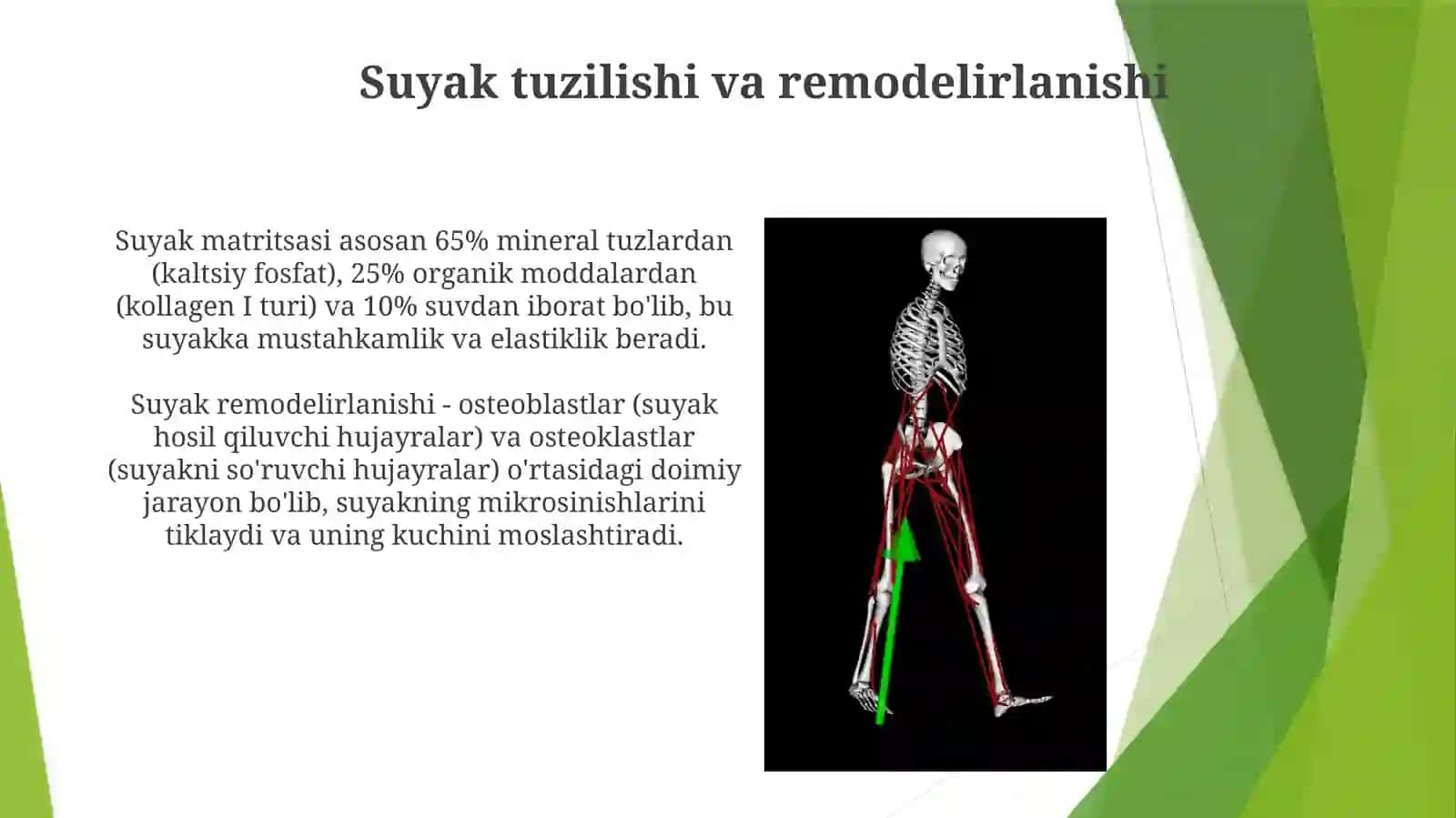Mexanik harakatlarining suyaklarga ta'siri 3