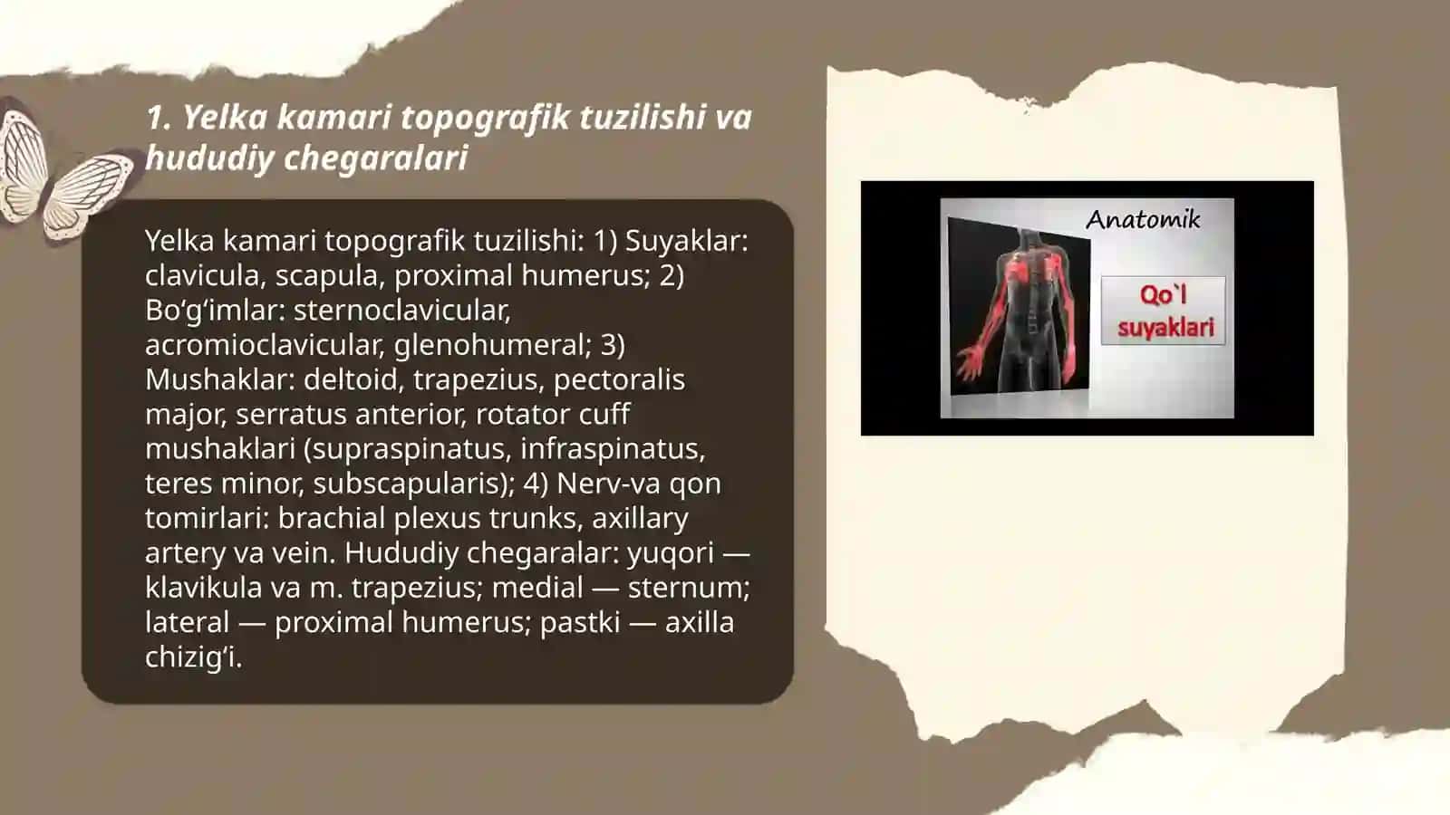 Qo‘lning topografik anatomiyasi 3