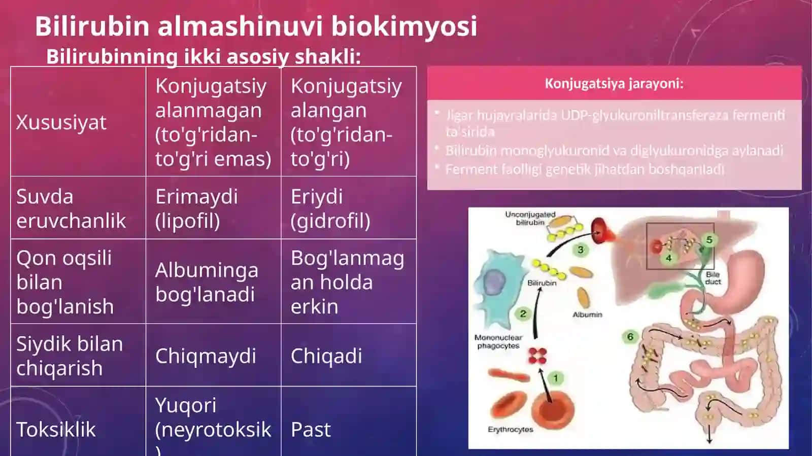 Giperbilirubinemiya va Sariqlik Turlari 3