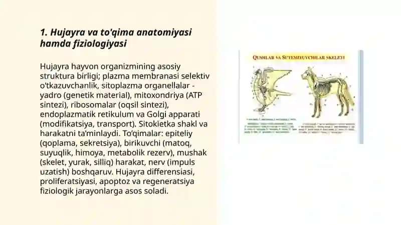 Hayvonlar anatomiyasi, fiziologiyasi 3