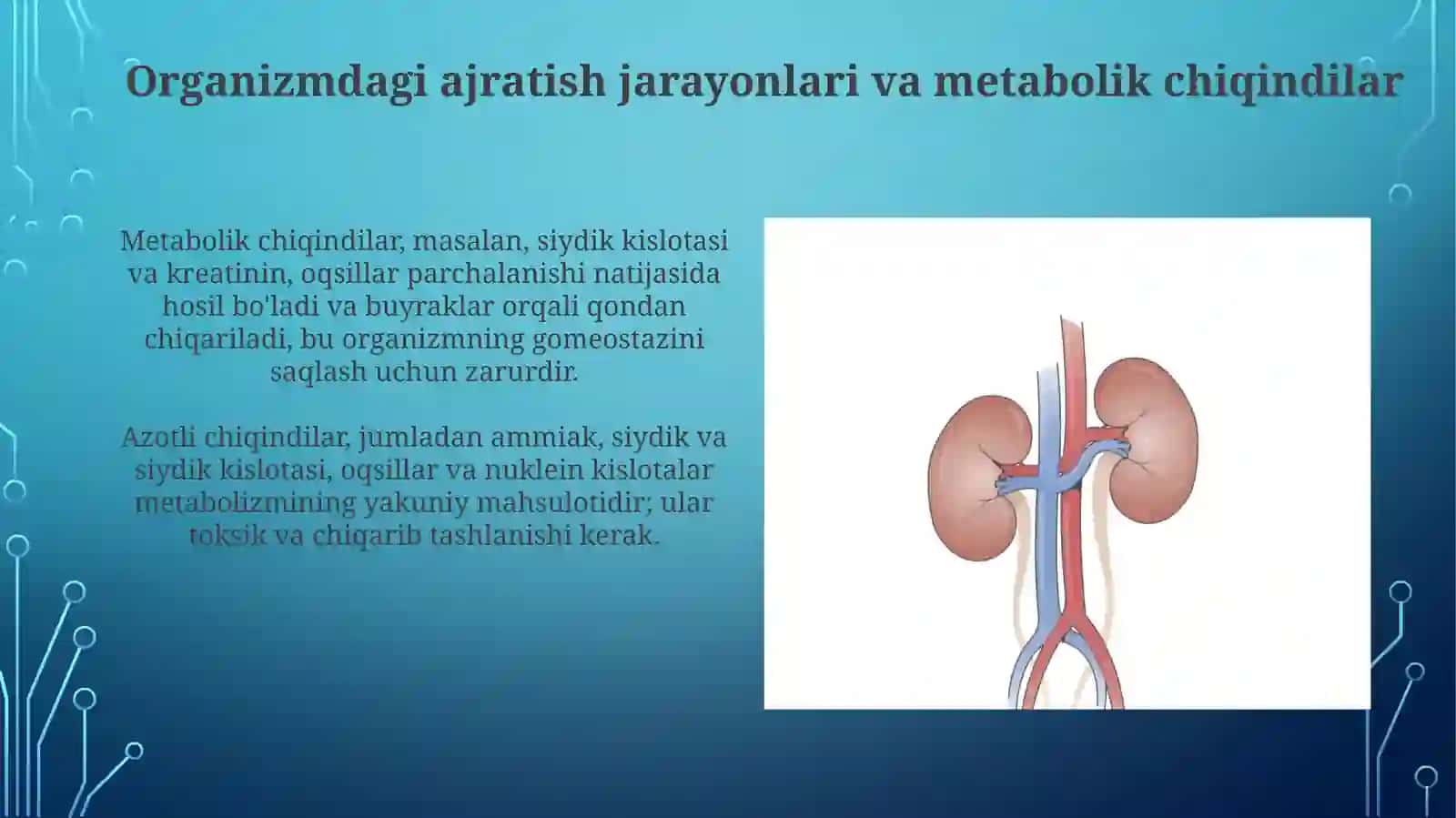 Organizmdagi ajratish jarayonlari va metabolik chiqindilar 3