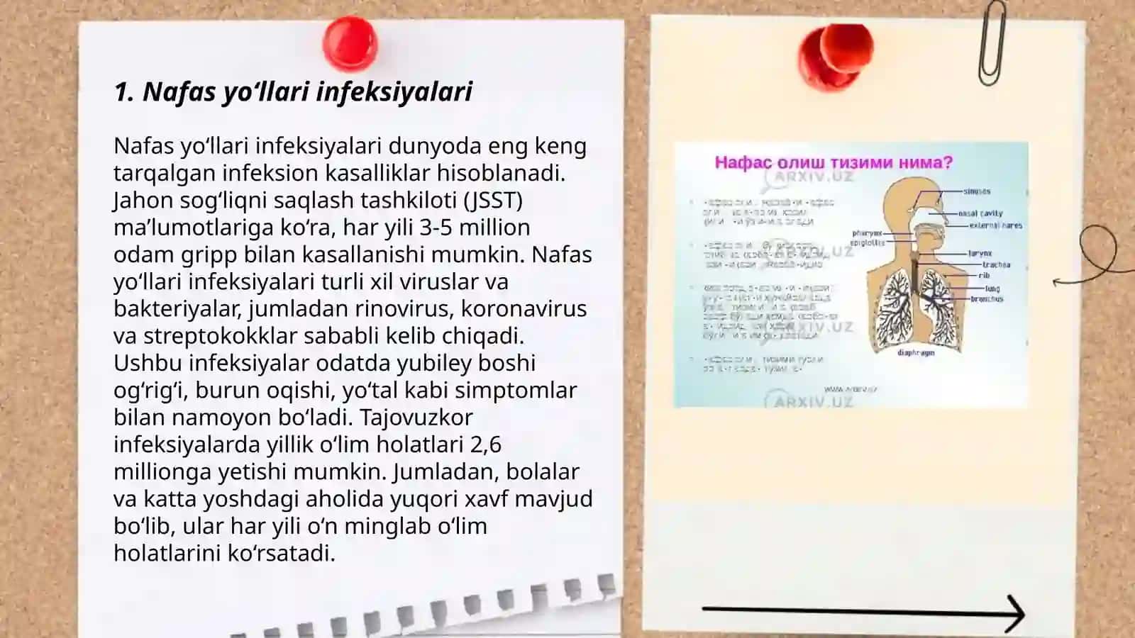 Nafas tizimi kasalliklari. Nafas tizimi kasalliklari bilan kasallangan bemorlarni parvarish qilish 3