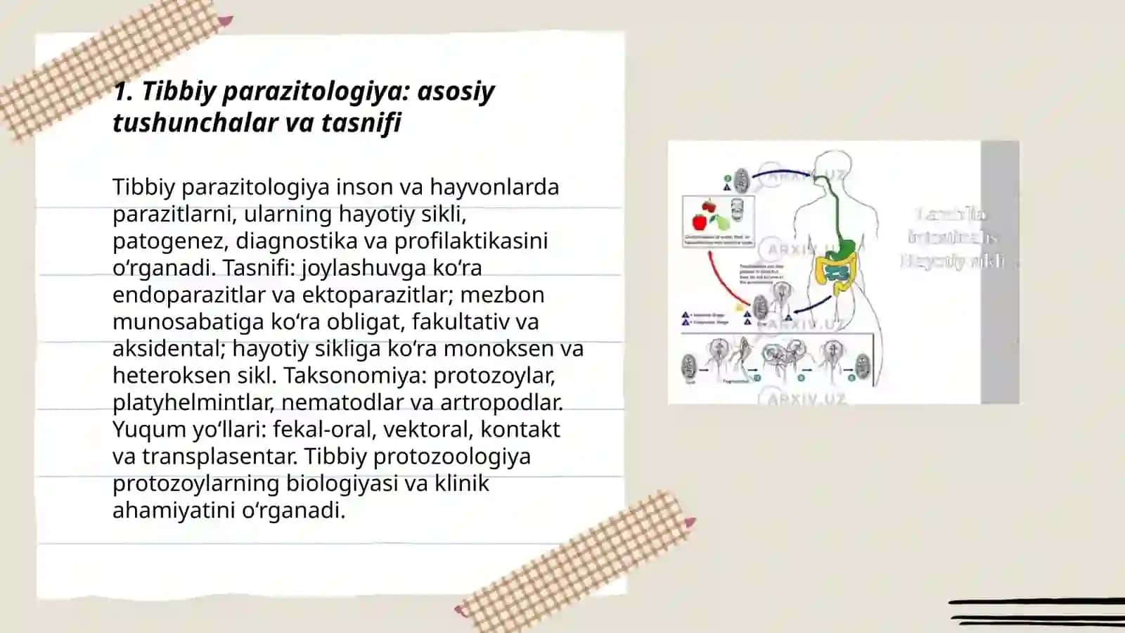 TIBBIYOT PARAZITOLOGIYASI. TIBBIYOT PROTOZOOLOGIYASI 3