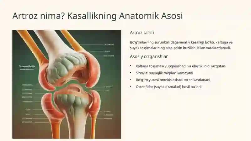 Bo'g'imlarda Artrozlarning Anatomik Asosi 3
