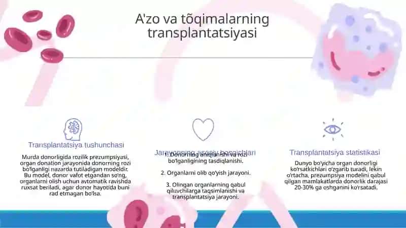 Murda donorligining rozilik prezumpsiyasi modeli 3