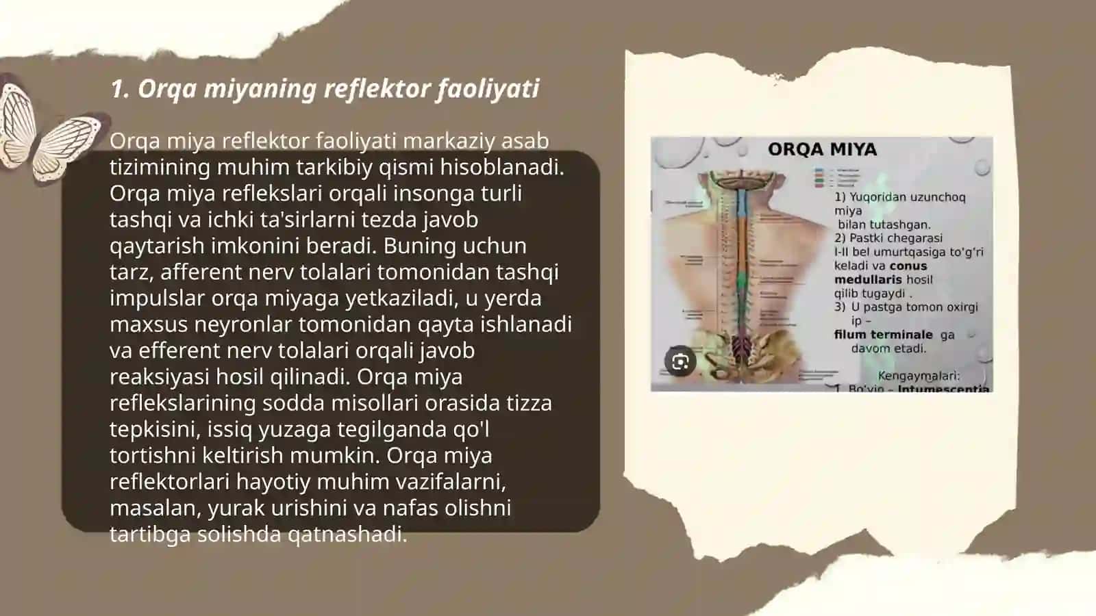 Orqa miyaning reflektor va o‘tkazuvchi yo‘l faoliyati, tekshirish usullari 3