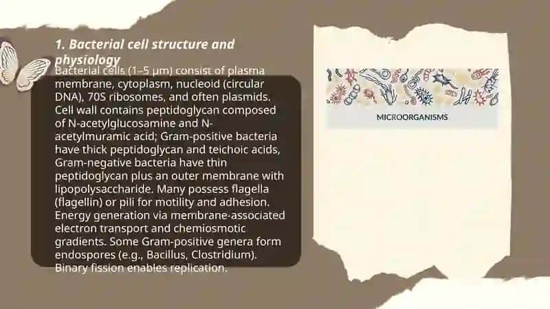 Microorganisms and Microbiology 3