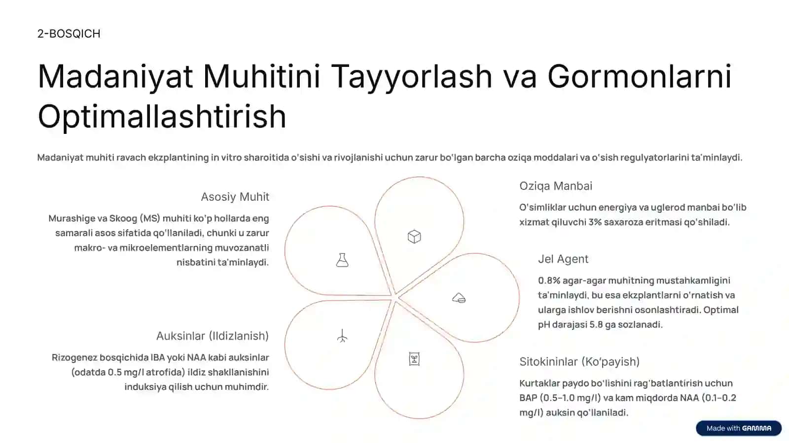VITRO RAVACHINI YETISHTIRISH TEXNOLOGIYASI 3