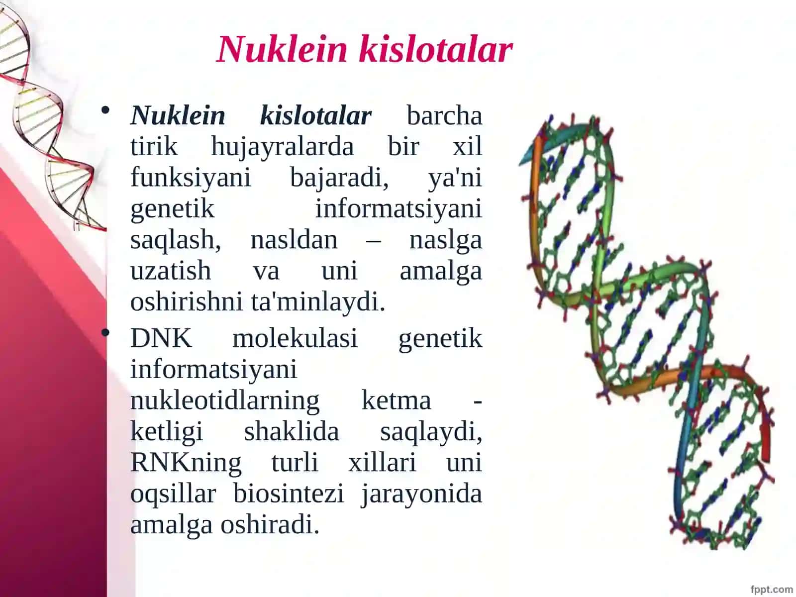 Nuklein kislotalar: tuzilishi, xossalari va biologik funksiyalari 3