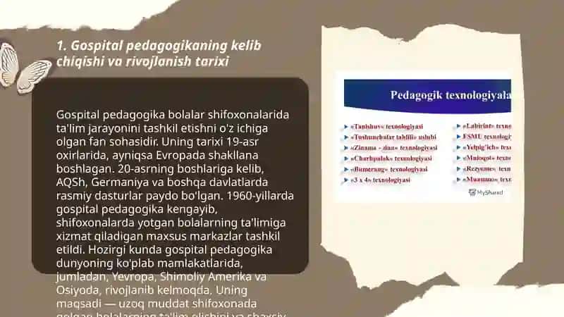 Xorijiy mamlakatlarda gospital pedagogika anʼanalari va xususiyatlari 3