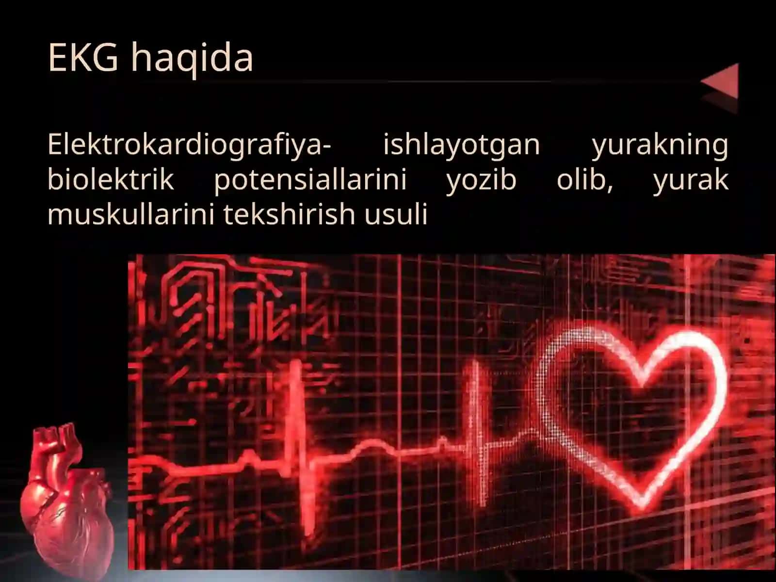 Elektrokardiografiya 3