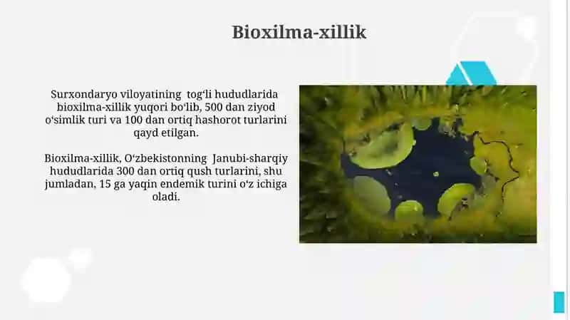 Bioxilma-xillik 3