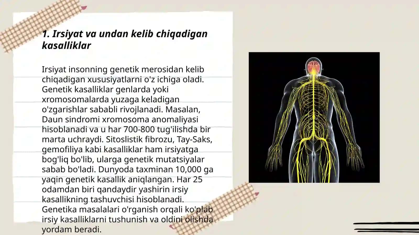 Irsiyat va irsiy kasalliklar.Nerv tizimining ahamiyati va gigiyenasi 3